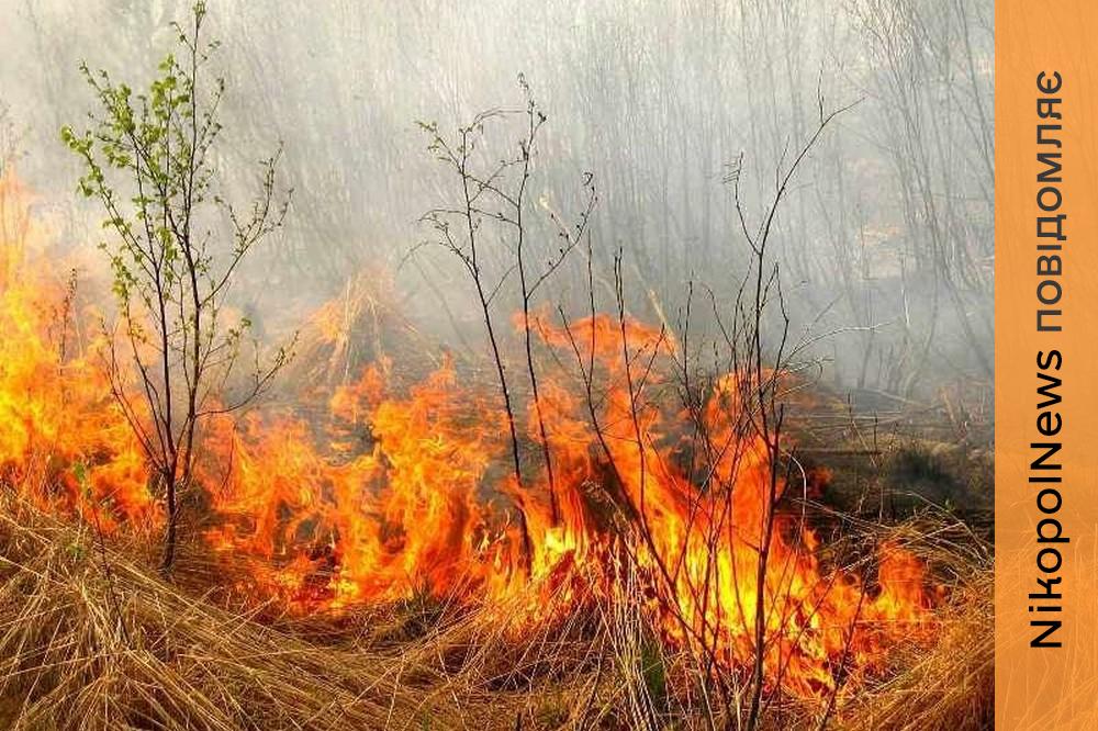 жителів Нікопольщини закликали не спалювати суху траву 2