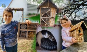 Готель для комах, будиночки для котиків і ще багато чого: на прифронтовій Нікопольщині школярі долучилися до Всеукраїнського STEM-дня