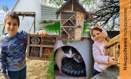 Готель для комах, будиночки для котиків і ще багато чого: на прифронтовій Нікопольщині школярі долучилися до Всеукраїнського STEM-дня