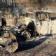 11 поранених на Нікопольщині і у Кам’янському районі, серед них дитина і правоохоронець – поліція про наслідки обстрілів області за добу