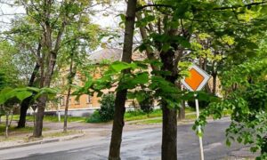 Очікується сильний дощ з грозою: погода у Нікополі 23 травня