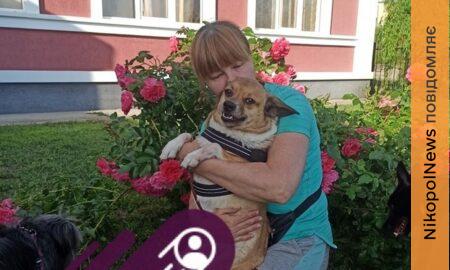 «Змушена робити те, чого дуже не люблю»: волонтерка з Нікополя звернулася з проханням про допомогу