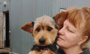 5 собак з Нікополя знайшли нові родини у квітні