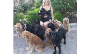 Як родина з Нікополя врятувала знаменитих собак з Ірпіня