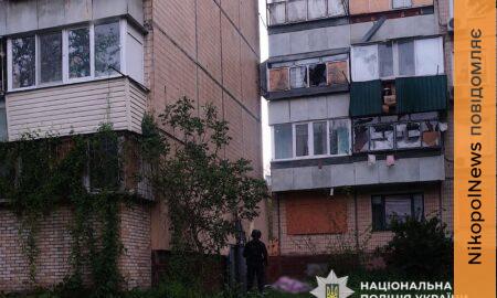 Випадково зачепив під час покосу трави: смертельний вибух у Нікополі прокоментували у поліції