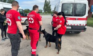 Нікопольські волонтери вивезли жінку з її чотирилапими улюбленицями з прибережної зони: куди звертатися