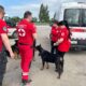 Нікопольські волонтери вивезли жінку з її чотирилапими улюбленицями з прибережної зони: куди звертатися