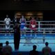 Спортсмен з Покрова здобув золото на міжнародному турнірі в Нідерландах