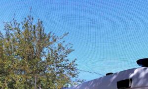 Подвір’я затягли сіткою і виділили кошти на засоби захисту: у Нікополі медики дякують меру за підтримку (фото)