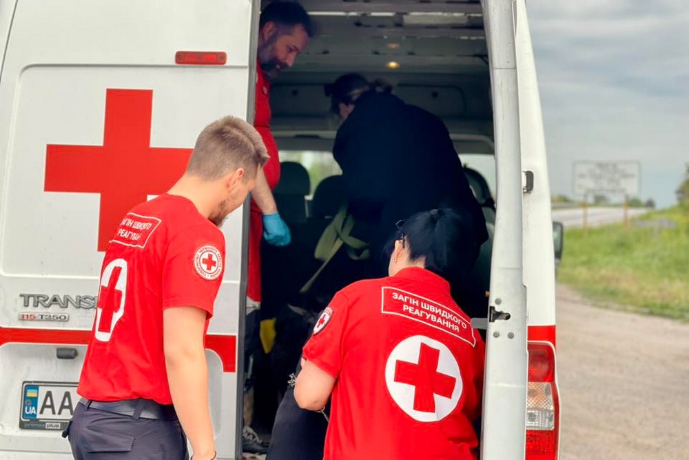 Нікопольські волонтери вивезли жінку з її чотирилапими улюбленицями з прибережної зони: куди звертатися (фото)