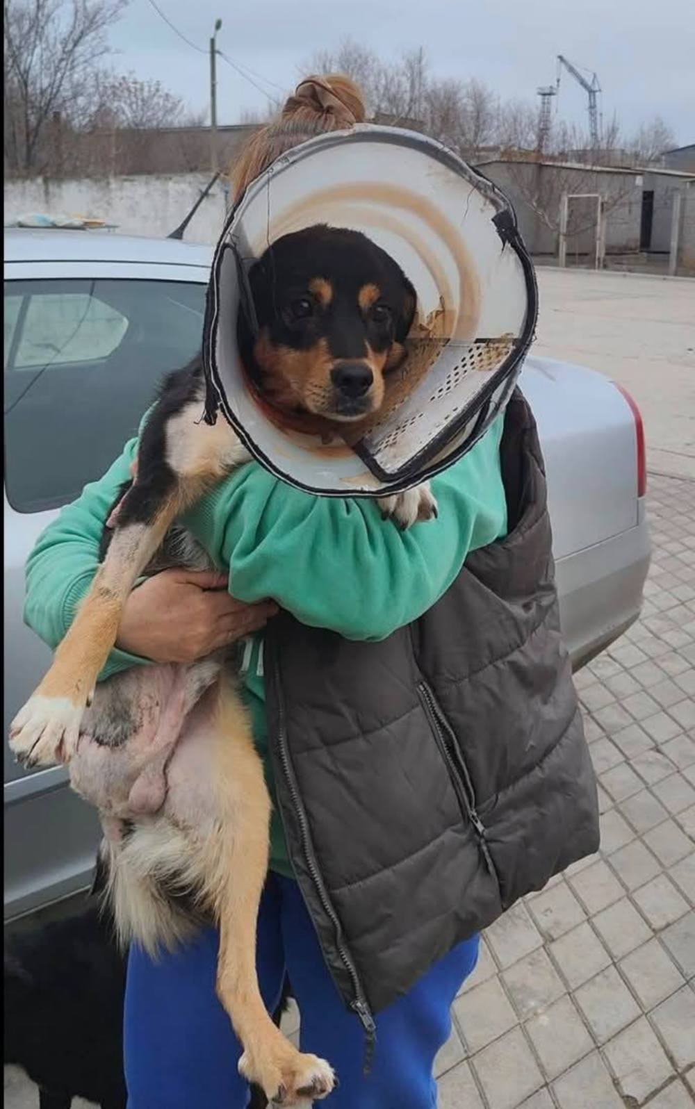 Нікополя