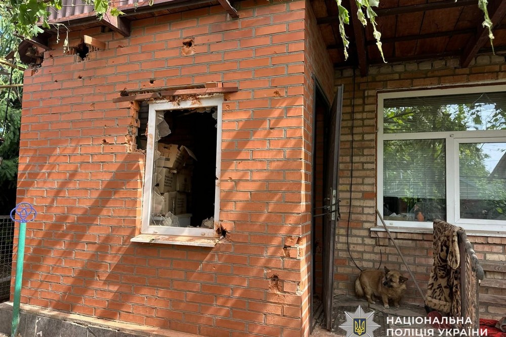 Нікополя 10