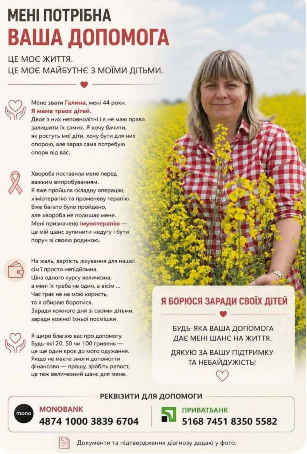 Нікополя 2