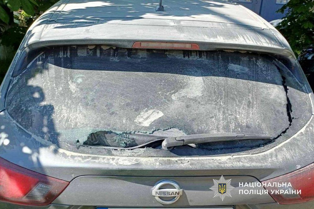 Нікополя 6