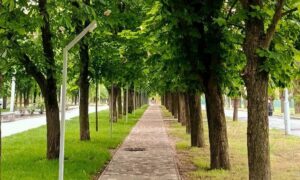 Погода у Нікополі