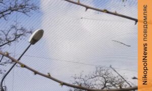Ще 6 млн грн на сітки у Нікополі проведено тендер, що відомо