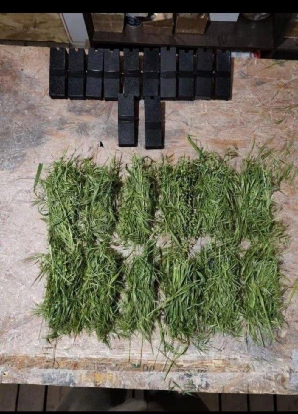 Жителів Нікопольщини 2 Жителів Нікопольщини 2