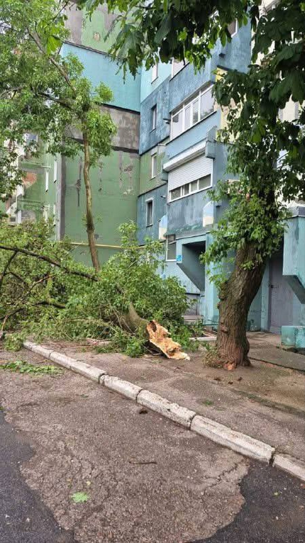 буревій у покрові (1)