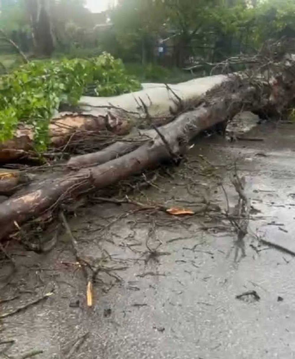 буревій у покрові (10)