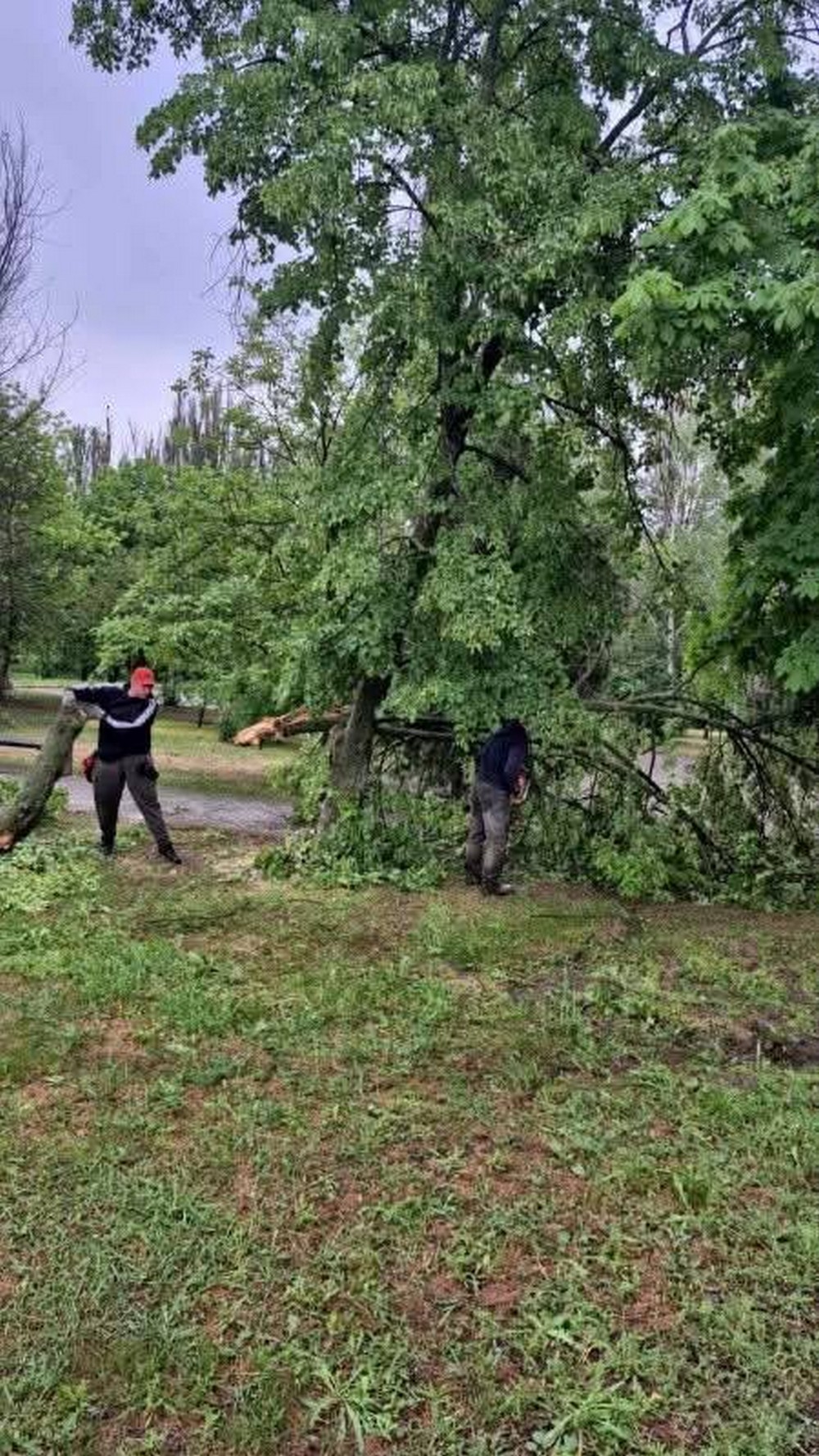 буревій у покрові (2)