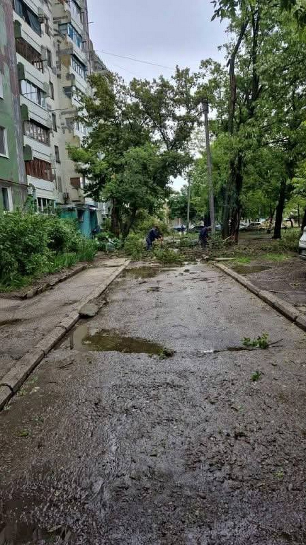 буревій у покрові (3)
