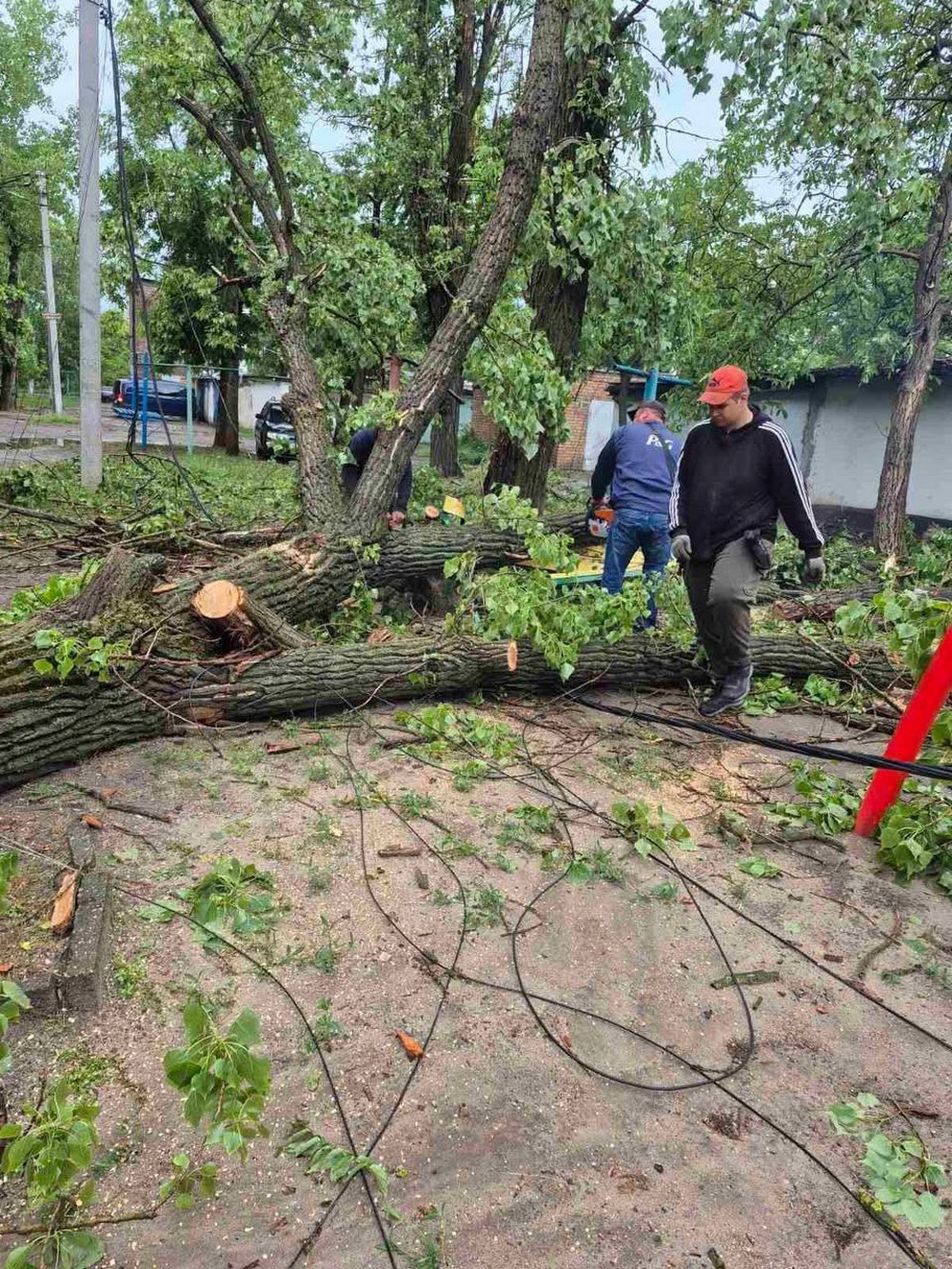 буревій у покрові (4)