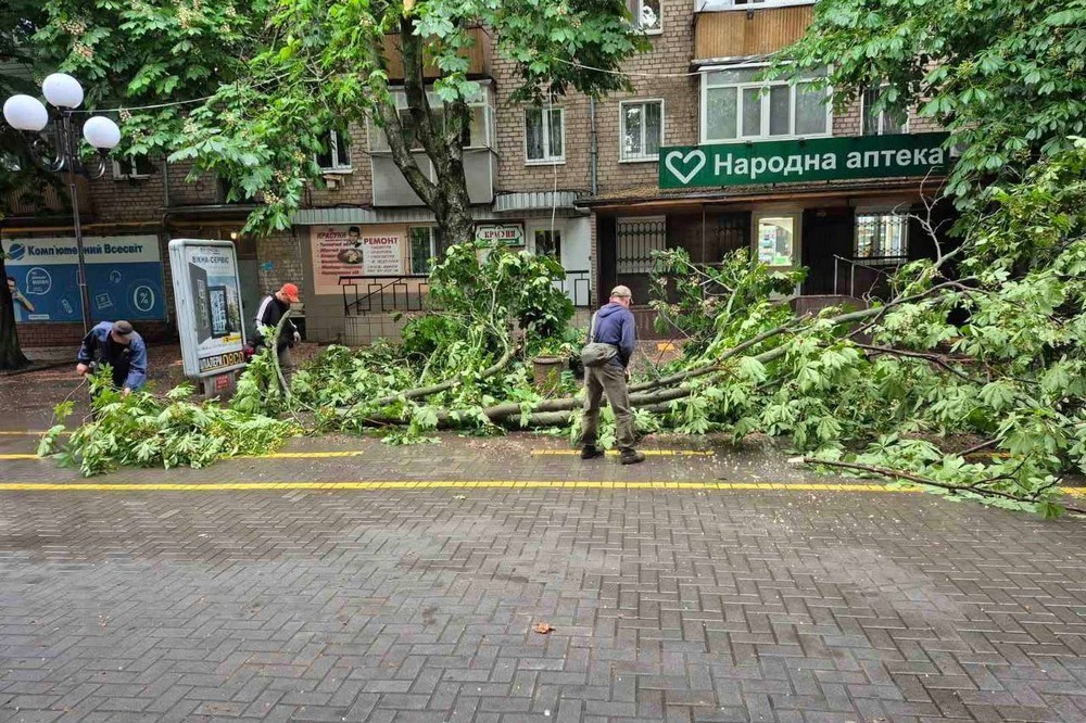 буревій у покрові (6)