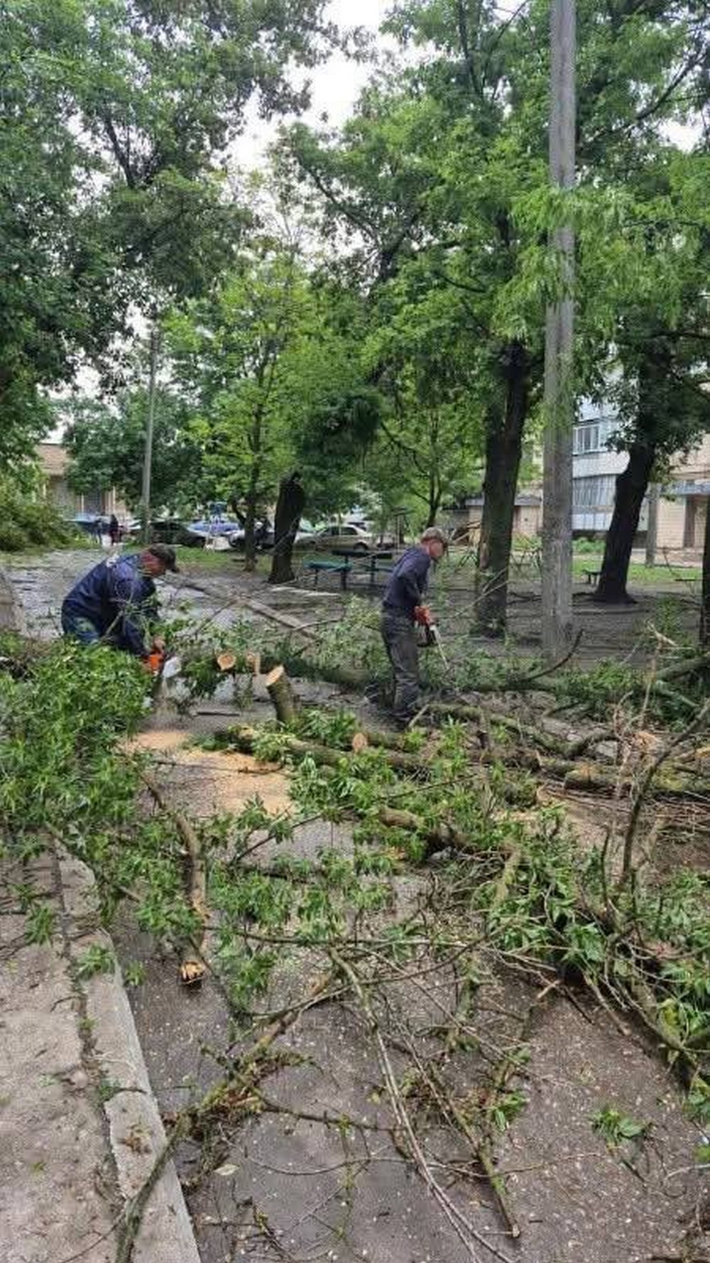 буревій у покрові (7)