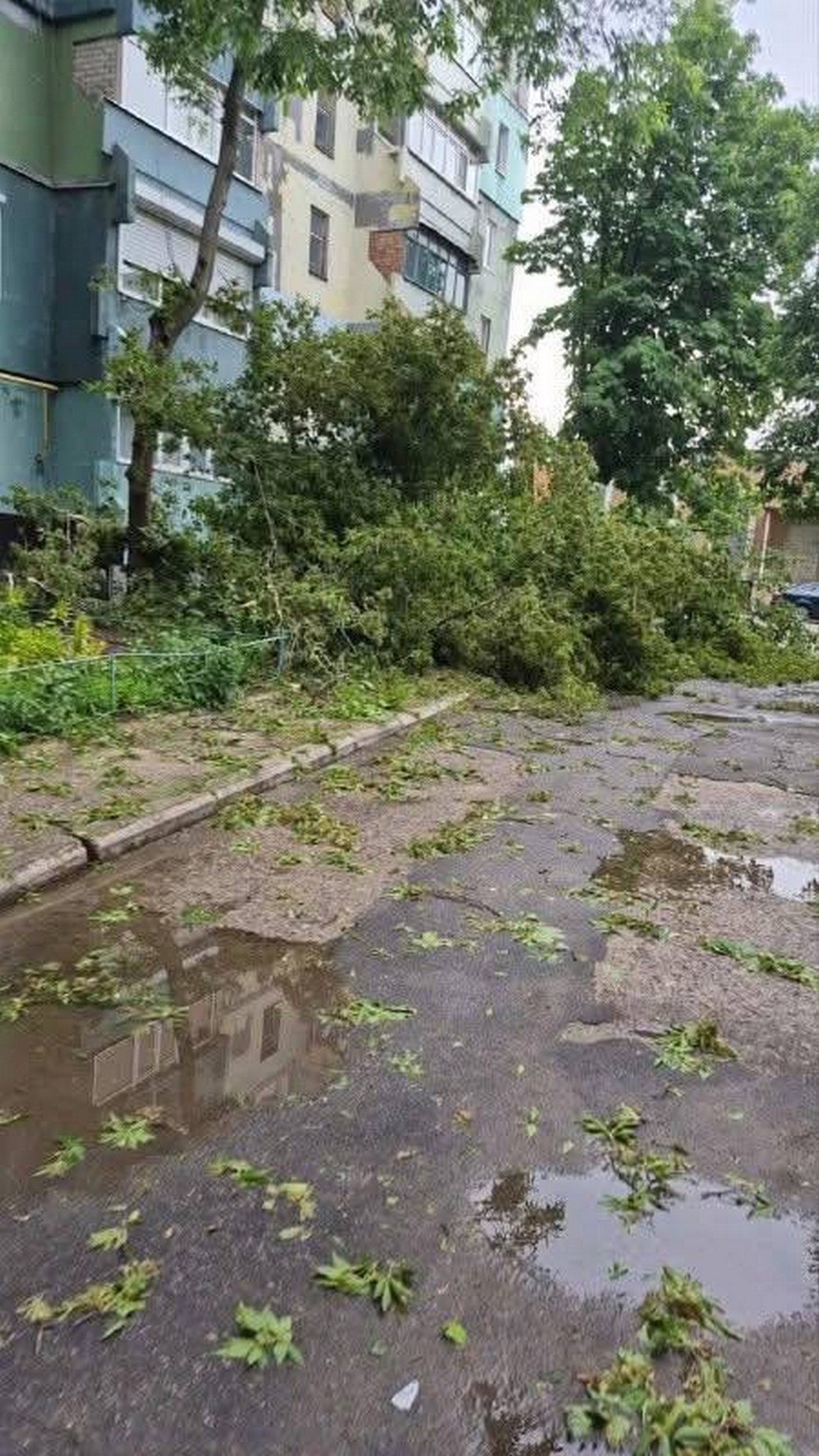 буревій у покрові (8)