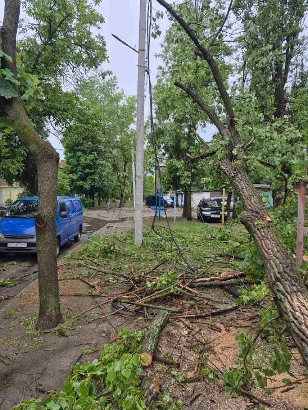 буревій у покрові (9)