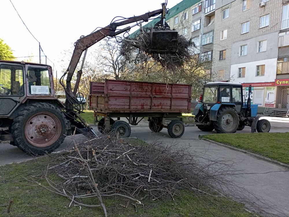 дерева 13