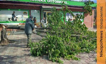 У Нікополі усувають наслідки атак і буревію, косять траву, ремонтують дороги: про роботу комунальників на цьому тижні (фото)