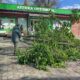 У Нікополі усувають наслідки атак і буревію, косять траву, ремонтують дороги: про роботу комунальників на цьому тижні (фото)