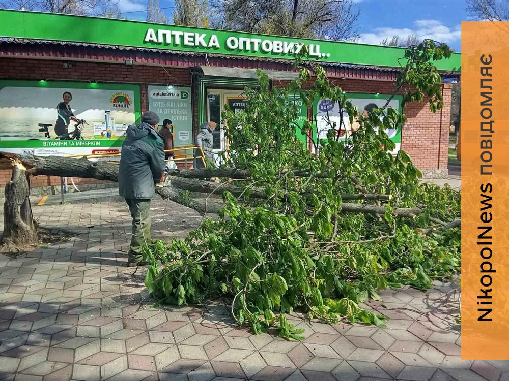 У Нікополі усувають наслідки атак і буревію, косять траву, ремонтують дороги: про роботу комунальників на цьому тижні (фото)