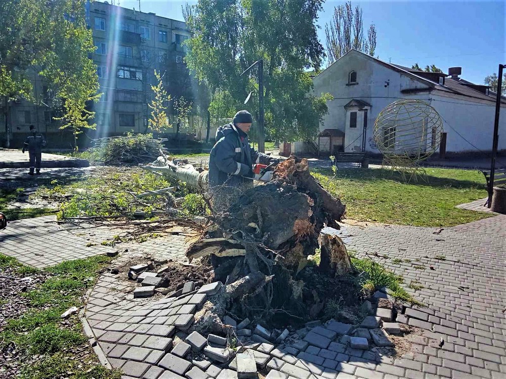дерева 7
