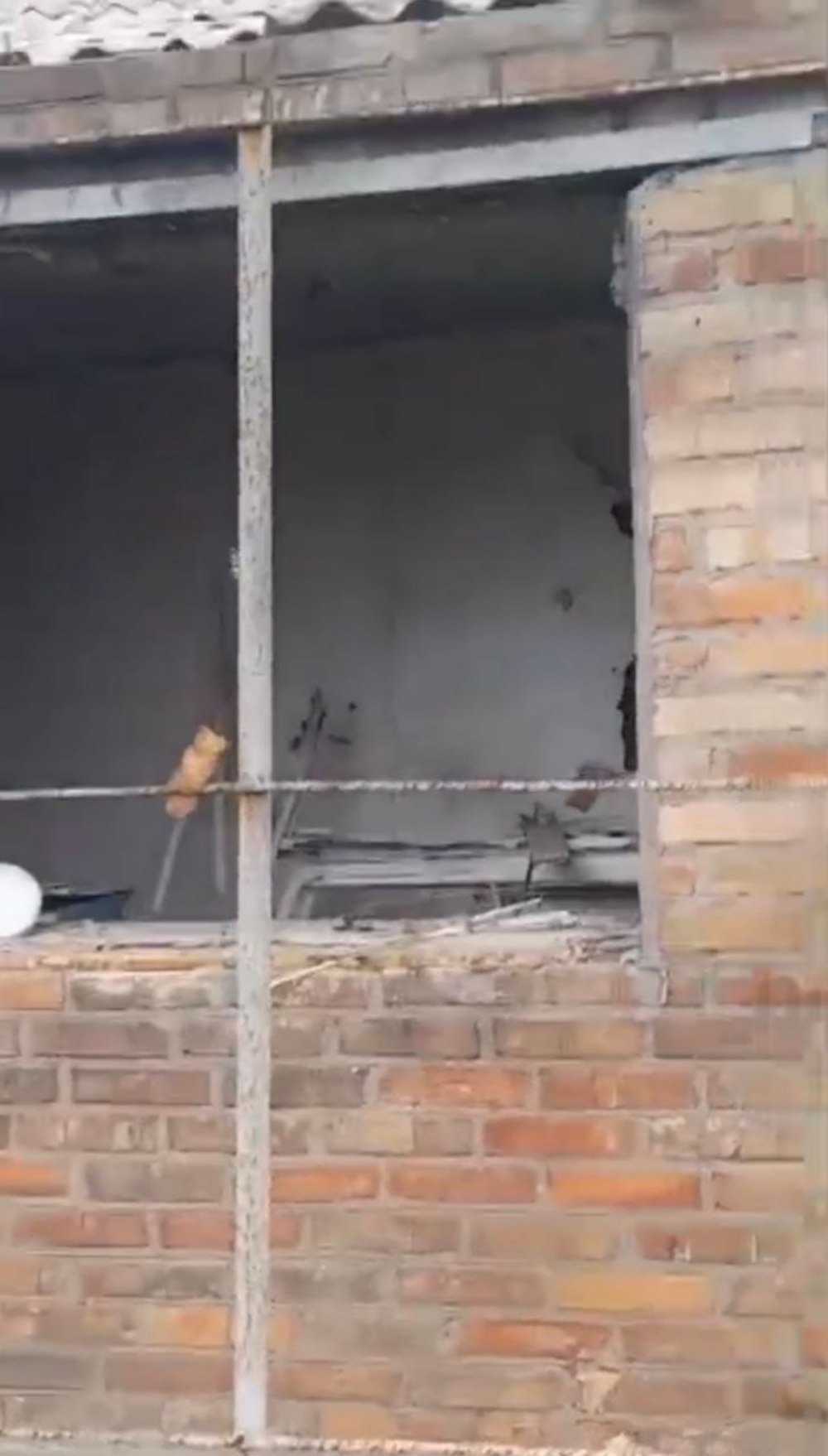 на нікопольщині 6
