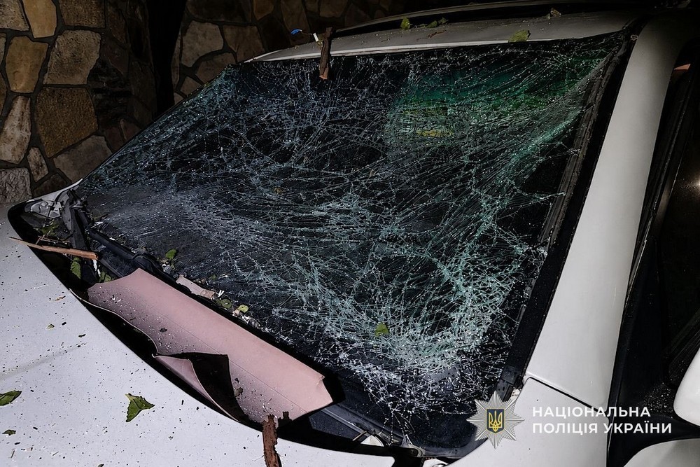 нікополь дніпро (12)