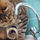 Попередили про відключення води у Марганці 30 травня: адреси