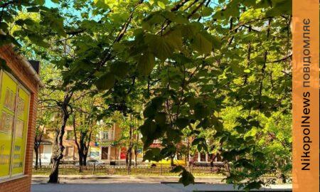 Мінлива хмарність і прохолодно: погода у Нікополі 2 травня