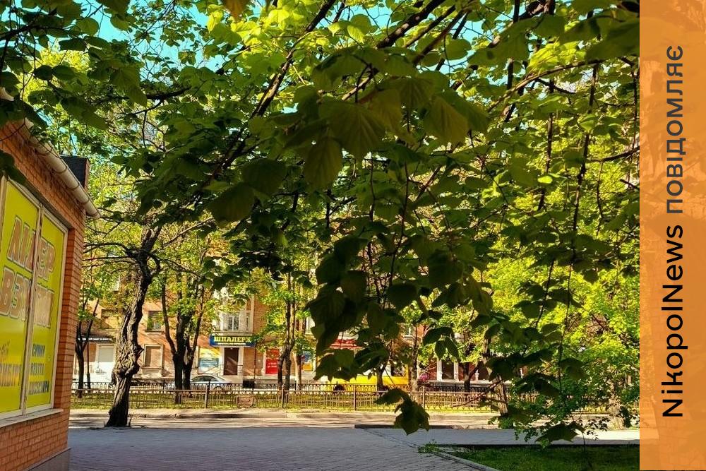 Мінлива хмарність і прохолодно: погода у Нікополі 2 травня