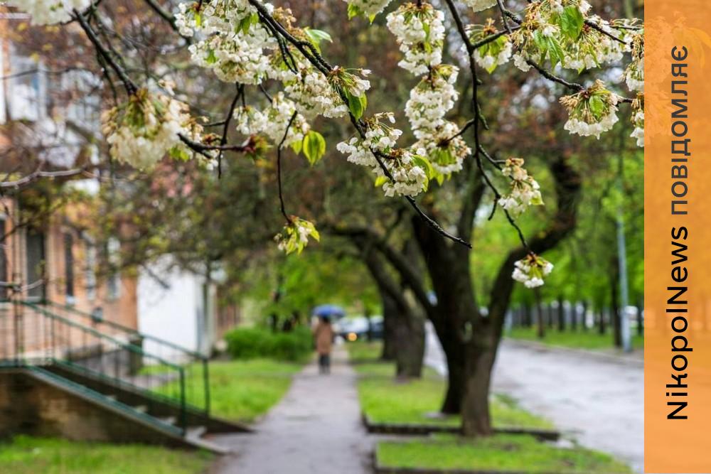 Як пройшла ніч 11 травня у Нікополі, розповів Олександр Саюк