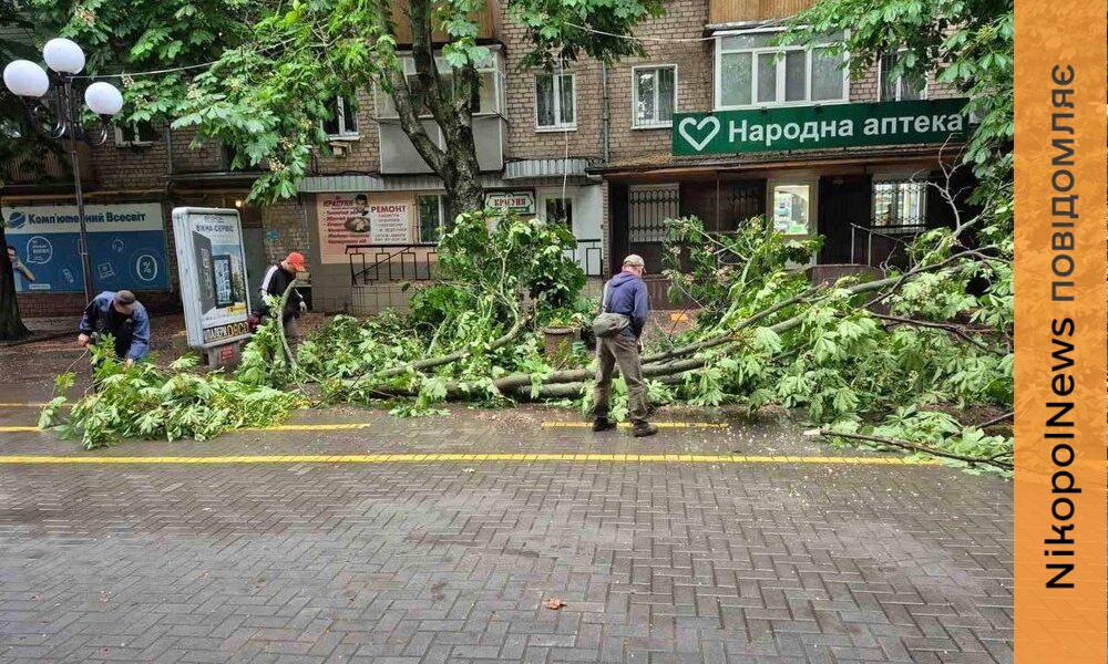 Буревій у Покрові сьогодні валив дерева і обривав лінії електропостачання (фото)