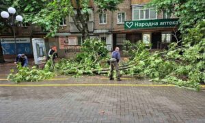 Буревій у Покрові сьогодні валив дерева і обривав лінії електропостачання (фото)