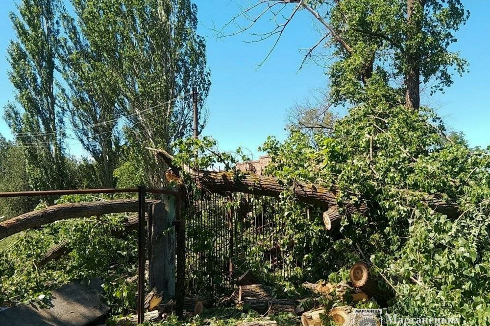 У Марганці через падіння дерев є пошкодження