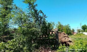 Старі тополі не витримали шквального вітру… У Марганці через падіння дерев є пошкодження