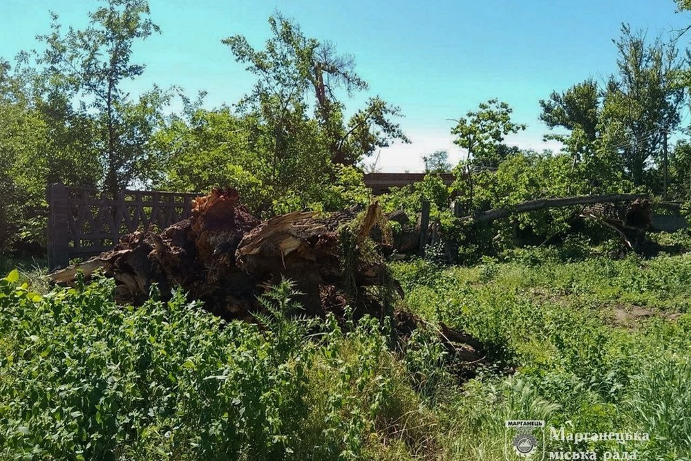 Старі тополі не витримали шквального вітру… У Марганці через падіння дерев є пошкодження 