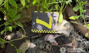 Вбивство на Нікопольщині: племінник застрелив свого дядька