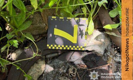 Вбивство на Нікопольщині: племінник застрелив свого дядька