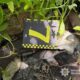 Вбивство на Нікопольщині: племінник застрелив свого дядька