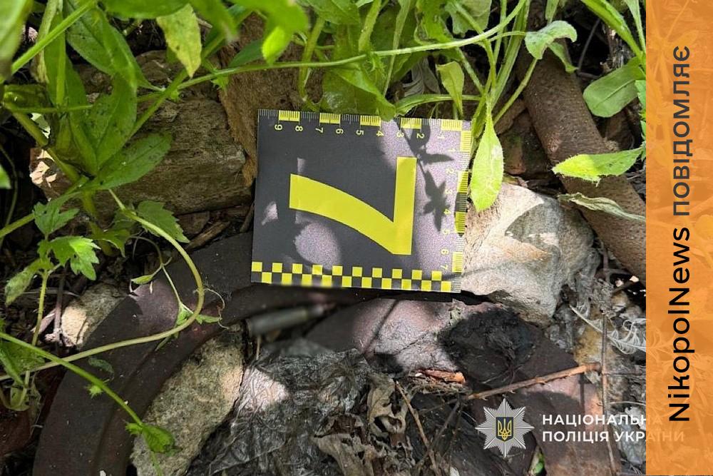 Вбивство на Нікопольщині: племінник застрелив свого дядька